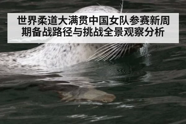 世界柔道大满贯中国女队参赛新周期备战路径与挑战全景观察分析